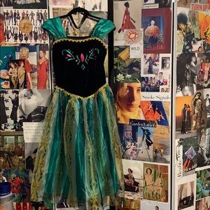 Princess Anna Adult Cosplay/Costume